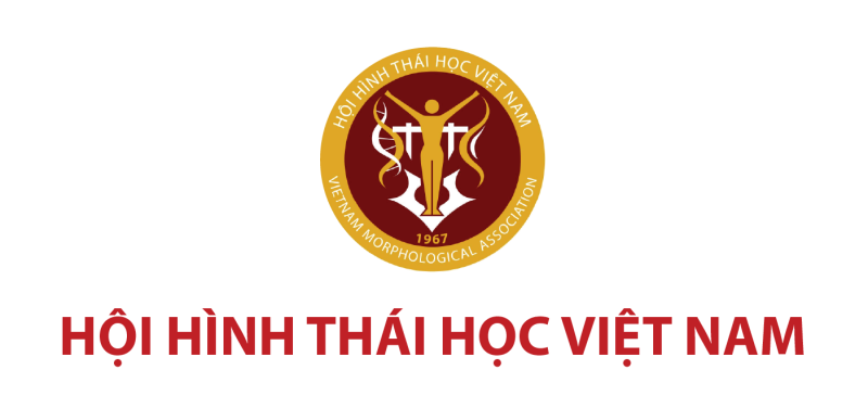 Logo HỘi HÌnh ThÁi HỌc ViỆt Nam 01